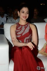 Tamannaah at Bengal Tiger Movie Triple Platinum Disc Function